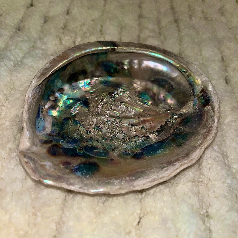 Abalone Healing Shell